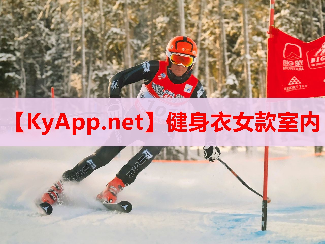 健身衣女款室内 健身衣女款室内