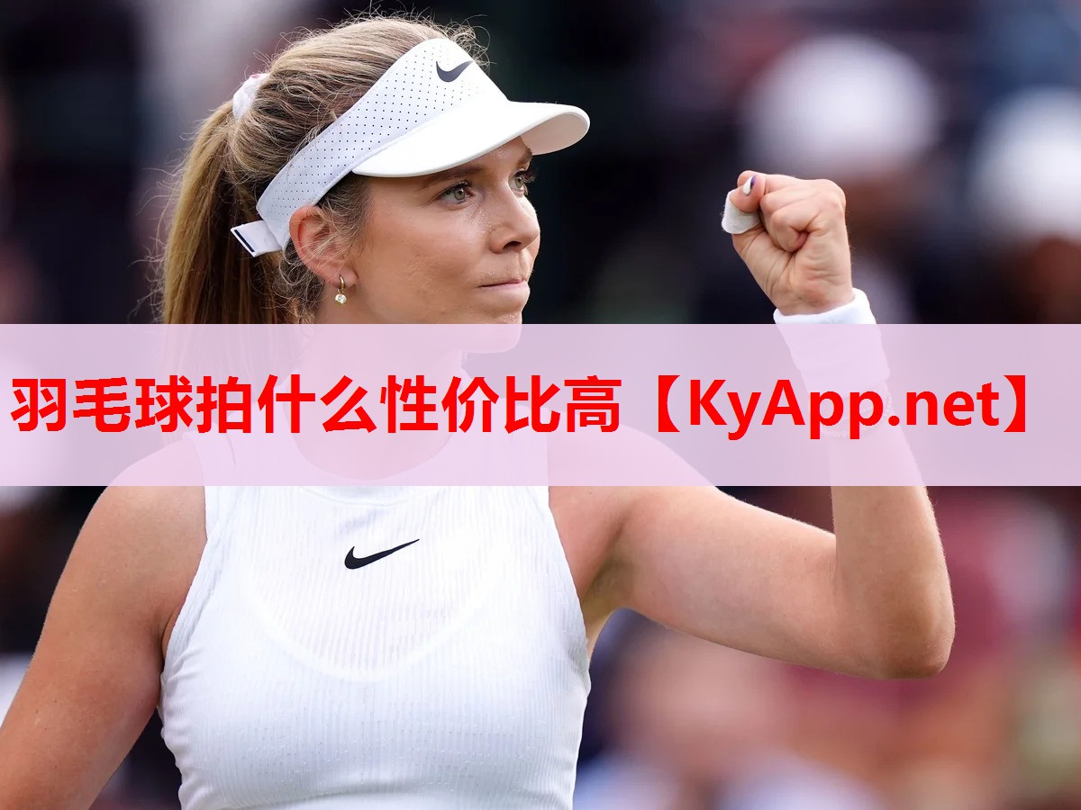 羽毛球拍什么性价比高
