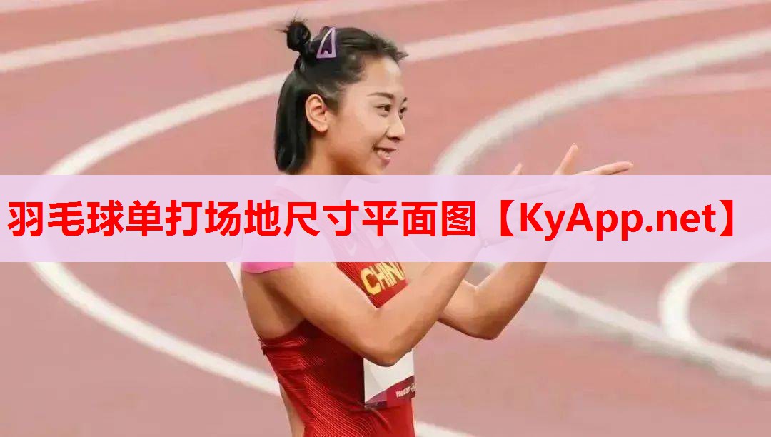 羽毛球单打场地尺寸平面图