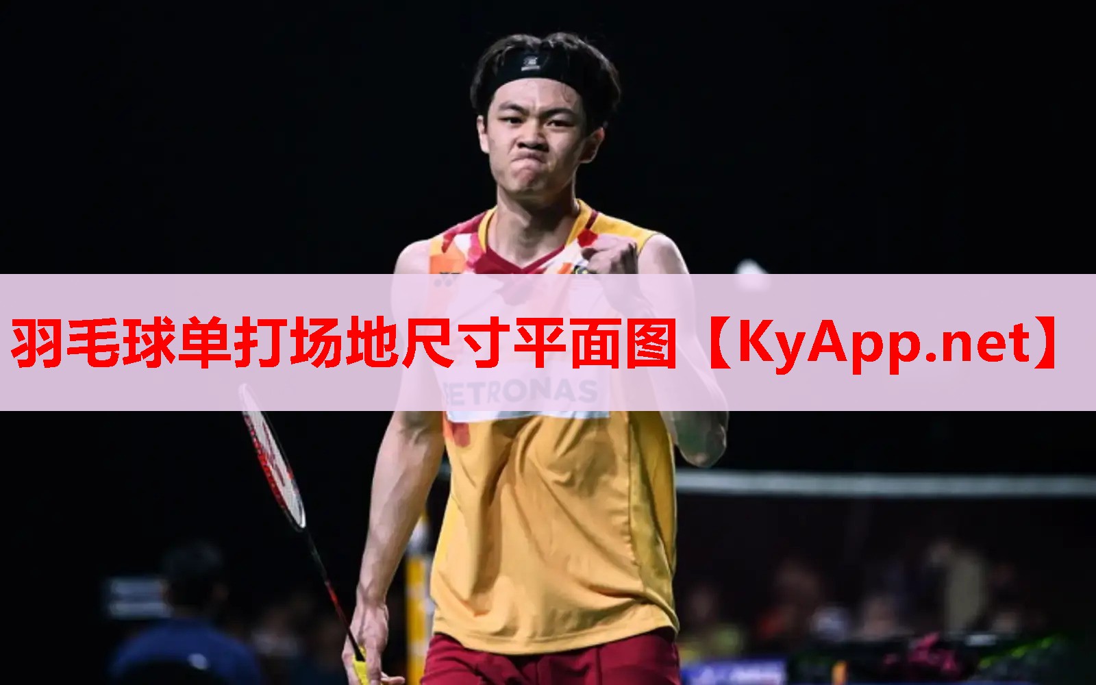 羽毛球单打场地尺寸平面图